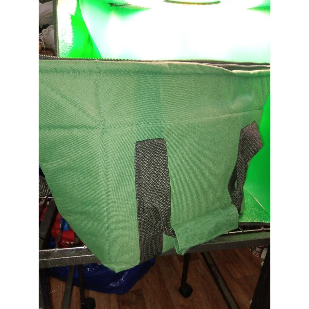 Green Bay Packers insulated tote bag